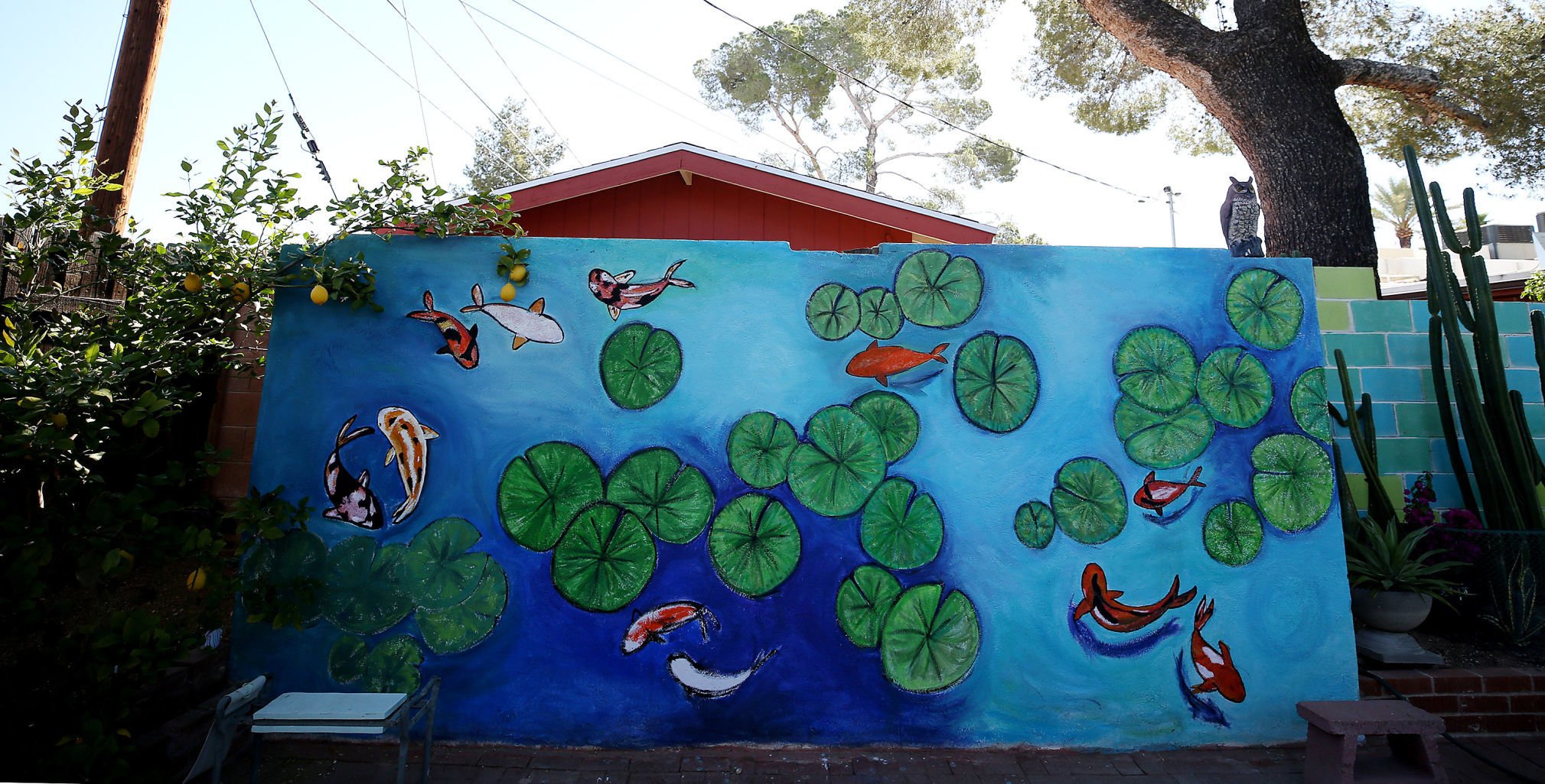 Pima County Master Gardeners